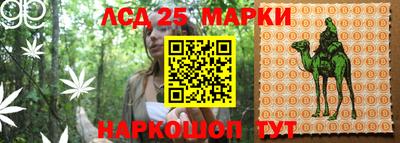 ALPHA PVP Краснодар